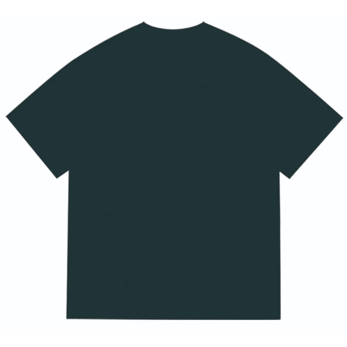 Bathing ape T Shirts