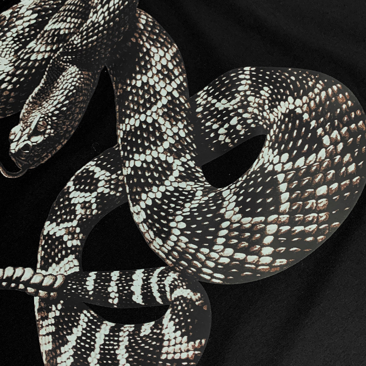Amiri T Shirt Rattlesnake Printed Casual Round Neck