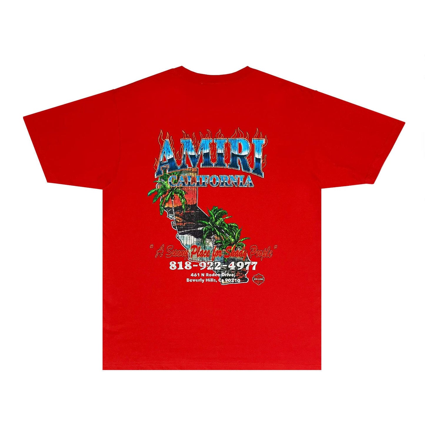 Amiri T Shirts