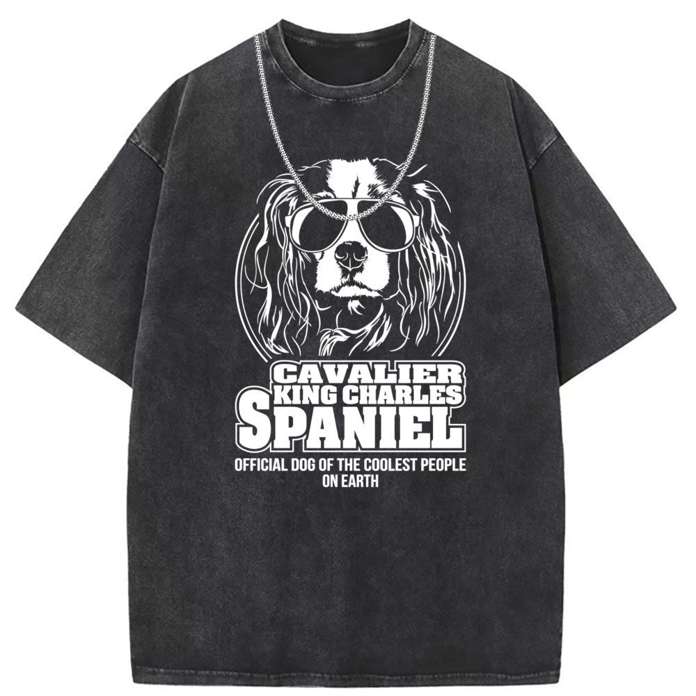 Mens T Shirts Crew Neck Short Sleeve T-Shirts