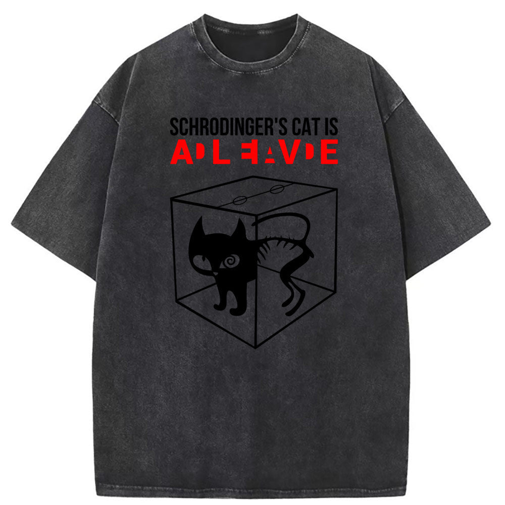 Men T Shirts Trend Homestead